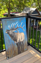Load image into Gallery viewer, Blue Elk
