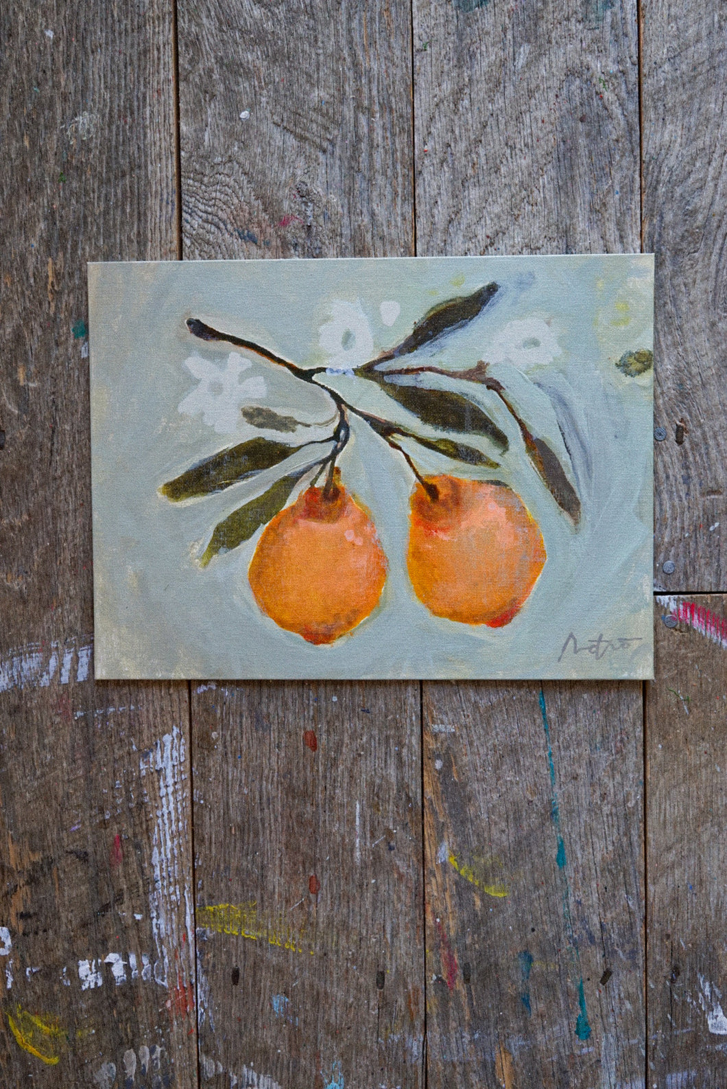 Orange Tree Branch